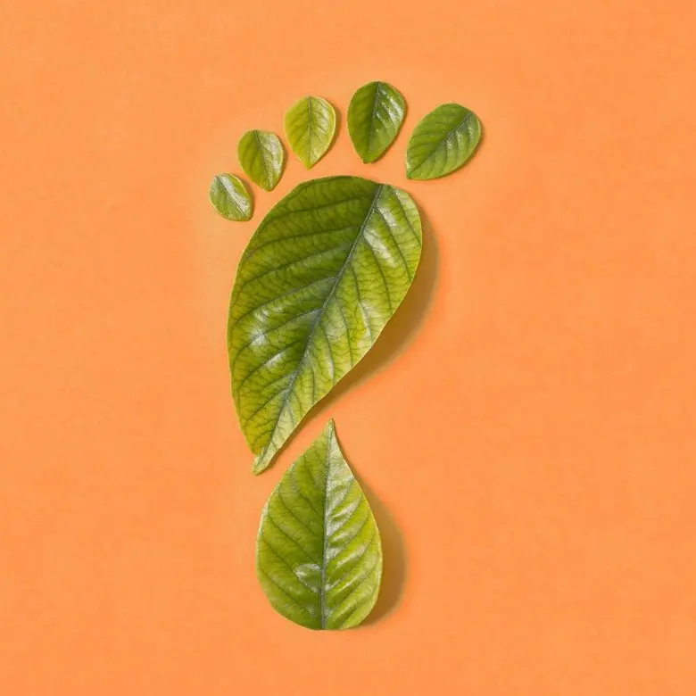 Artikel duurzaamheid Groene voetprint.